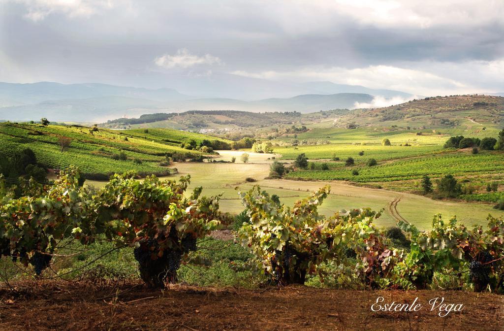 Alojamiento En Entorno Rural Los Trobos Villar de Otero ภายนอก รูปภาพ